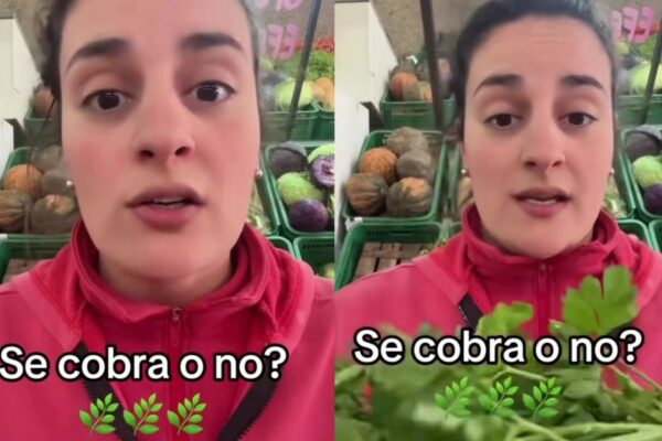UNA VERDULERA COBRÓ $400 POR EL PEREJIL Y GENERÓ DEBATE EN REDES